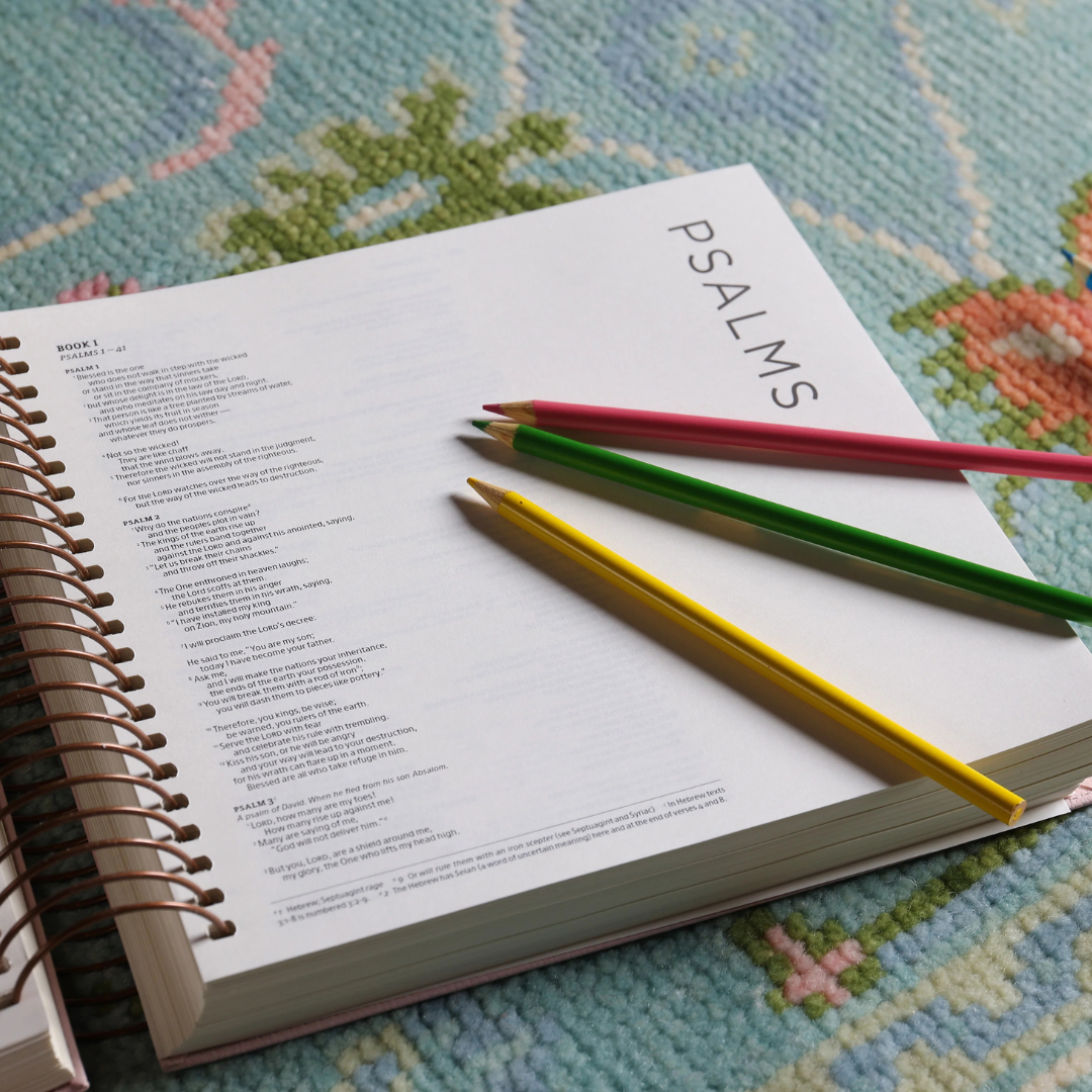 The Living Notes Bible (NIV)