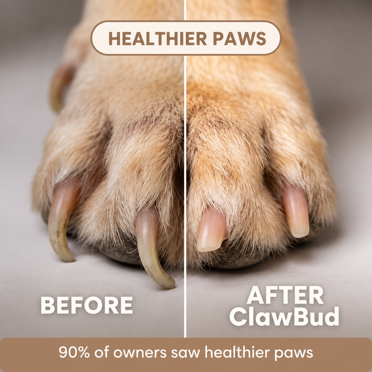 ScratchBud